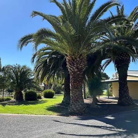 Murray River Resort Moama Εξωτερικό φωτογραφία